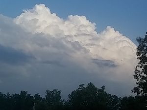 Fluffy Clouds