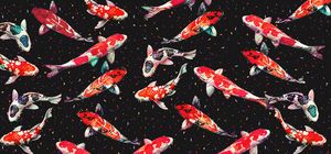 Koi