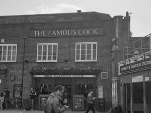 The Famous Cock!