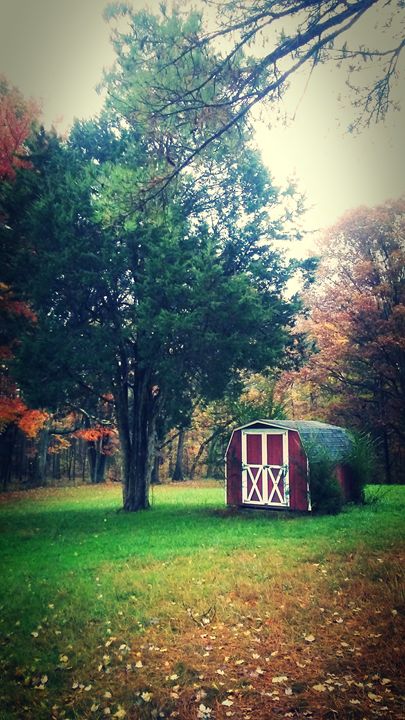 Autumn Glow - Kristian's Vision