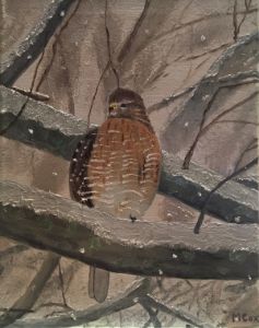 Red Tail Winter