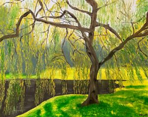 Weeping Willow