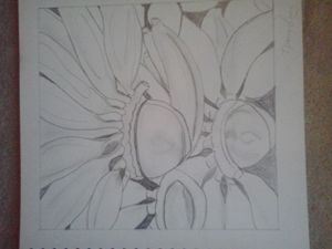 Guess Me Sketch