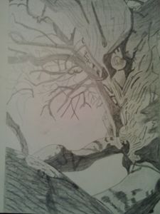 Crooked Tree sketch