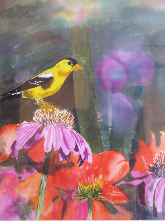 Canary and flowers - Shiva Davalloo