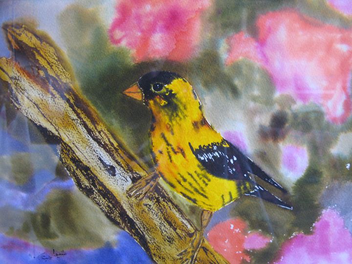 Canary in the Garden - Shiva Davalloo