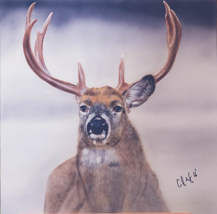 Fine art deer photo realism - Cody LeBouef