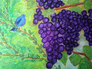 Blue bird and grapes