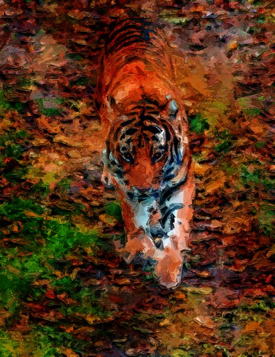 Stalking Tiger - Patrick Rolands