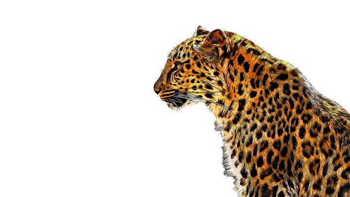 Seated Leopard - Patrick Rolands