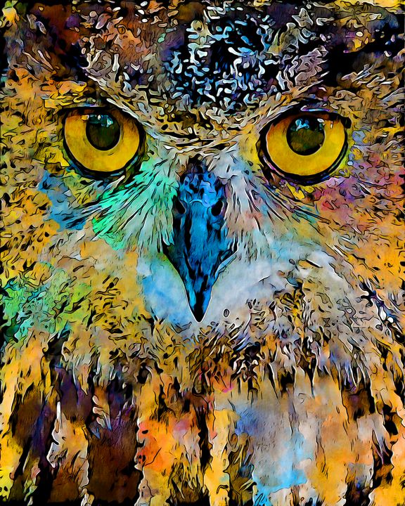 Owl - Patrick Rolands