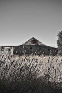 Abandoned farm house in the grass