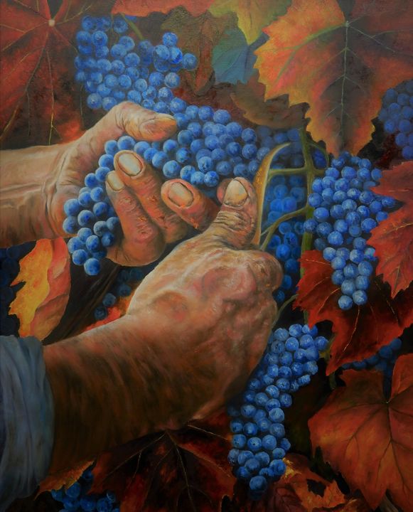 Grape Harvest - Michael A. Davis