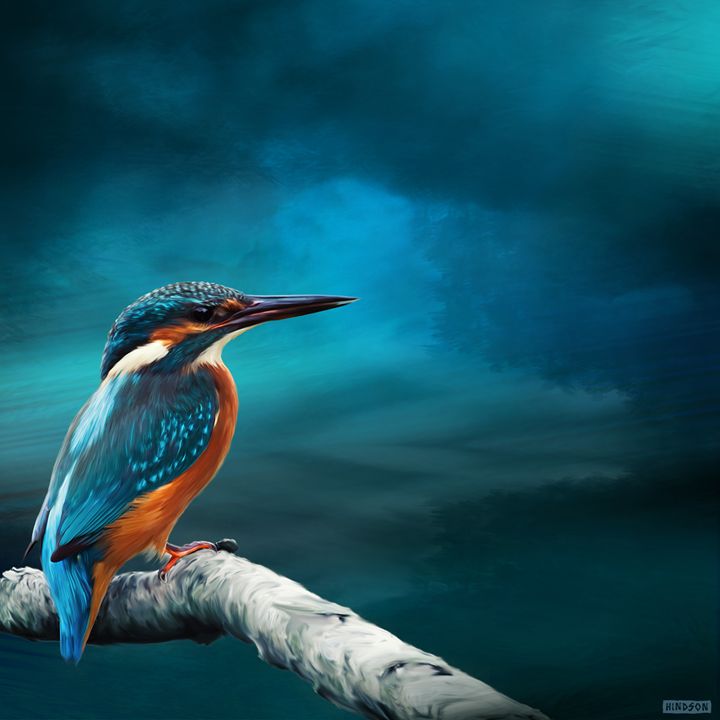 Kingfisher on Watch - Julian Hindson