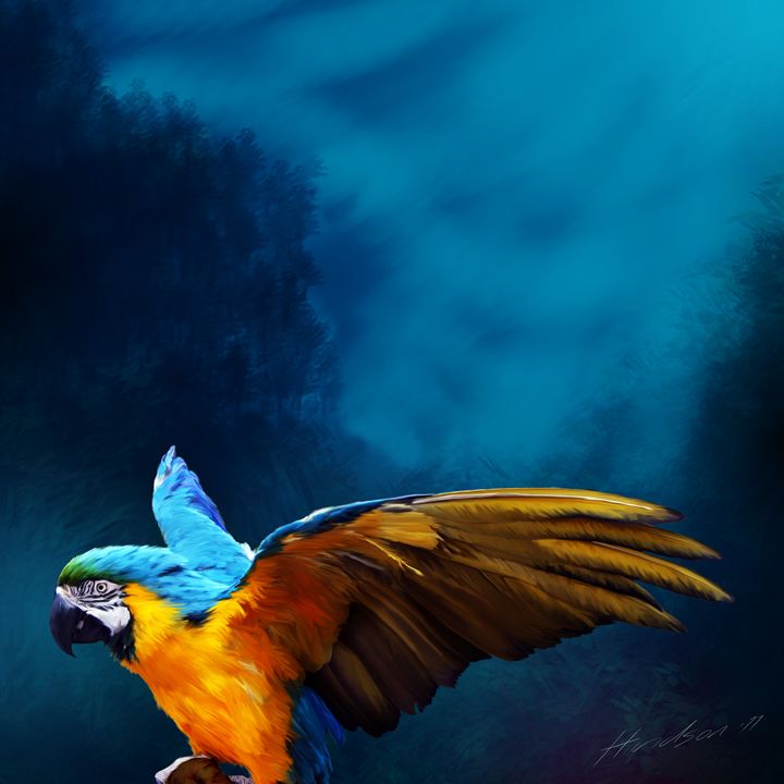 Blue Macaw - Julian Hindson