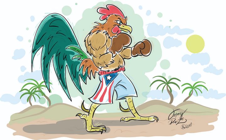 fighting rooster illustration