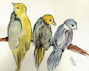 Three watercolor birds