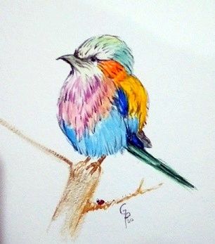watercolor of rainbow bird 2 - GParker Artworks