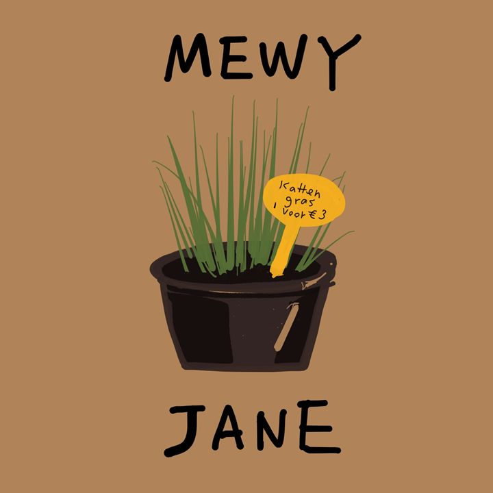 MEWy Jane - dailycatfeine