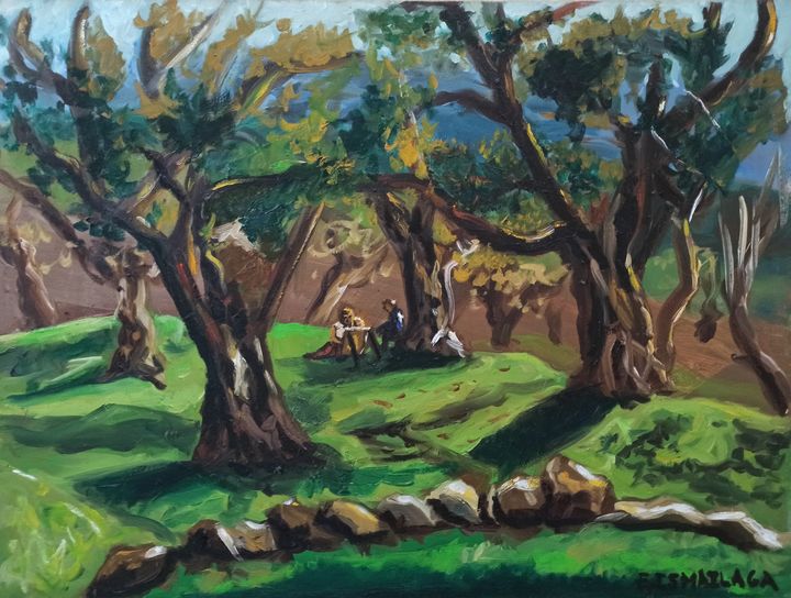Olive trees in Spring - elvi.art
