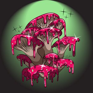Magic Mushrooms