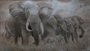 Pencil shading-Elephant