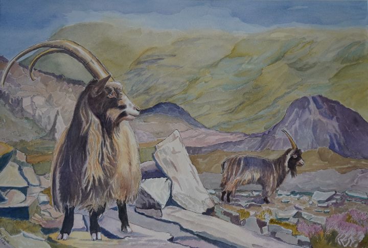 Welsh Mountain Goats - Karl's Art for Parkinson's
