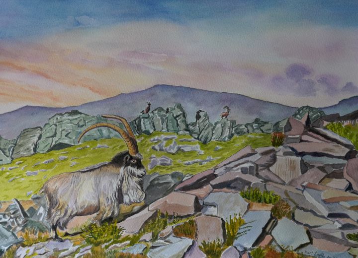 Evening in Snowdonia  Mountain Goats - Karl's Art for Parkinson's