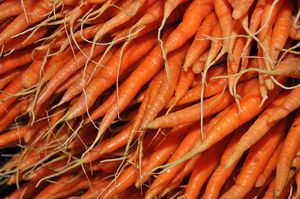 Fresh carrots