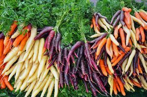Colorful winter carrots