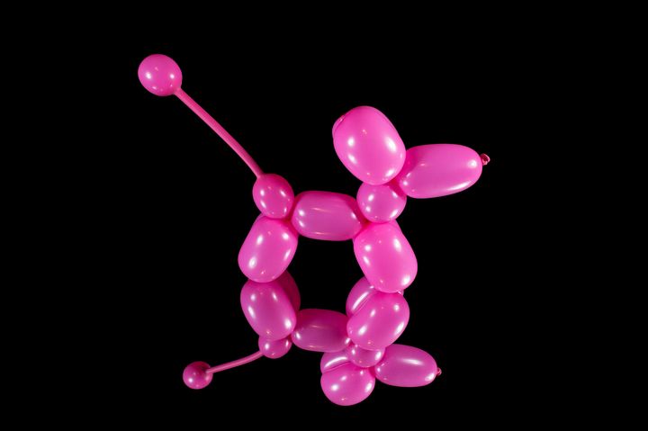 Pink balloon dog with reflection on - Photography by Stretch - Photography,  Still Life, Other Still Life - ArtPal