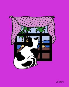 WINDOW SHOPPING CAT