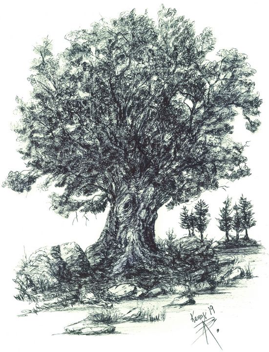 Large rock under shade tree. - themontanascribbler - Drawings ...