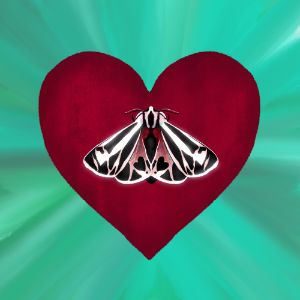 ACozyNookArt - Drawings & Illustration