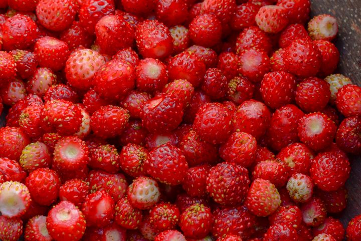 wild strawberry background of berrie - yarvin13