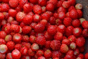 wild strawberry background of berrie