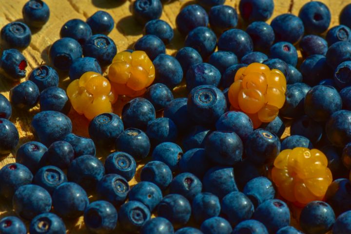 Berry background blueberries - yarvin13