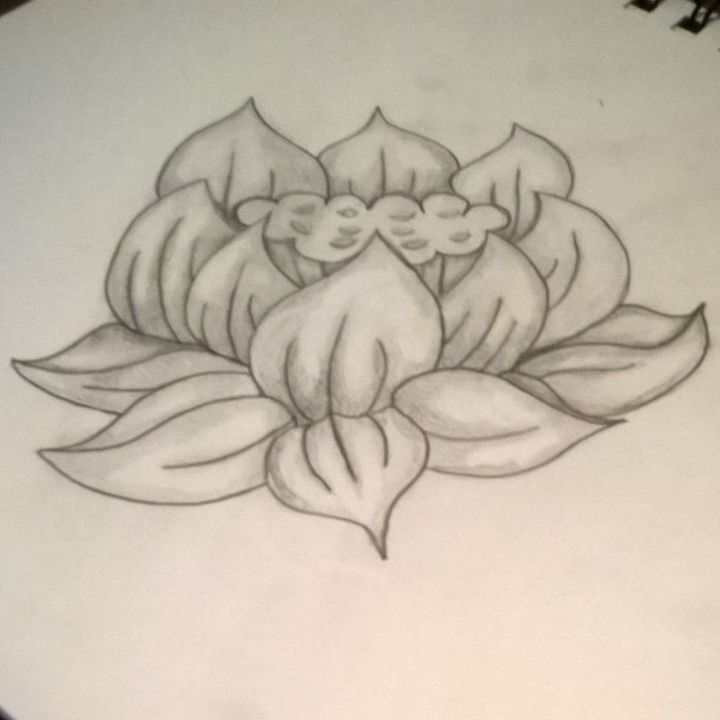Flower Sketch - Alex Ao