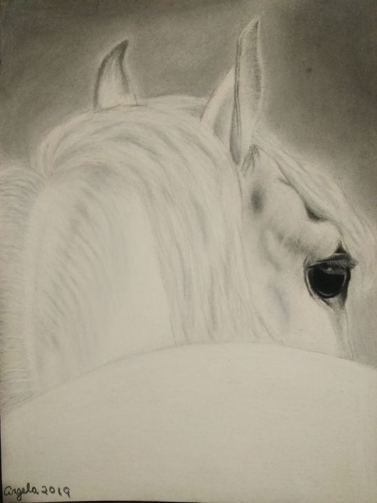 Charcoal Drawing of a White Horse 