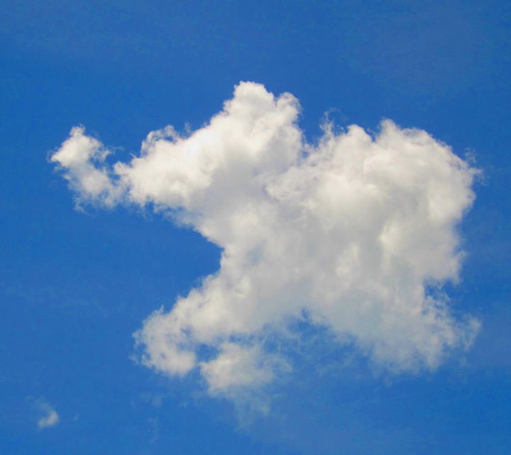 Elephant in the clouds - francine mabie