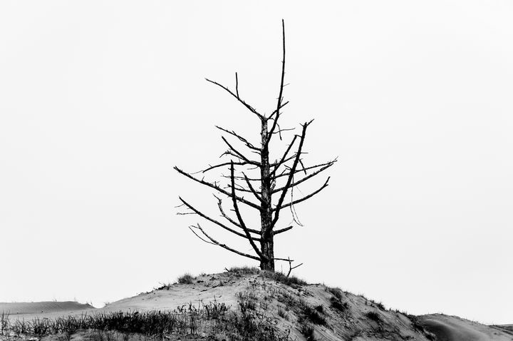 Death on the Dunes Series - Caleb French Photography