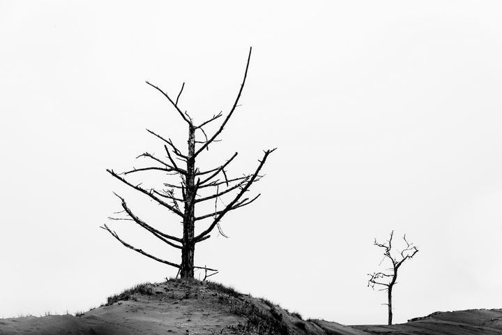 Death on the Dunes Series - Caleb French Photography