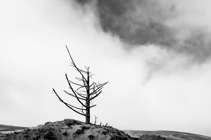 Death on the Dunes Series - Caleb French Photography