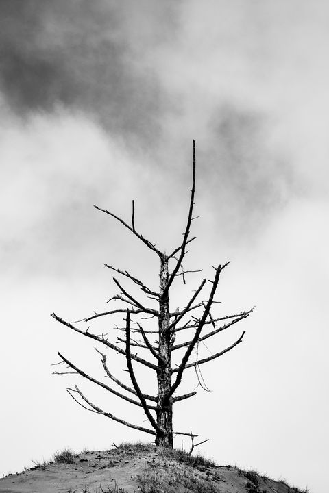 Death on the Dunes Series - Caleb French Photography