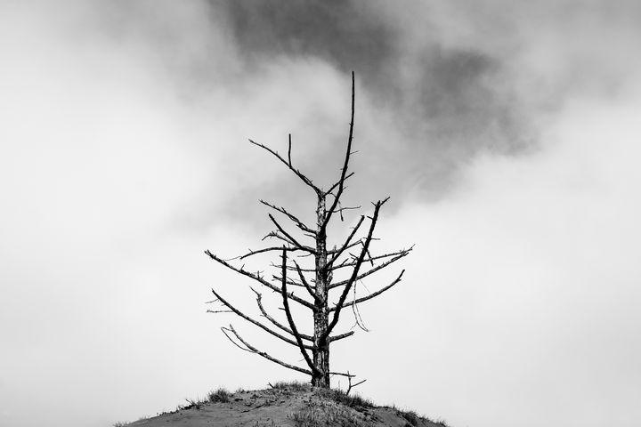Death on the Dunes Series - Caleb French Photography