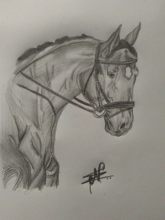Horse - World of sketch