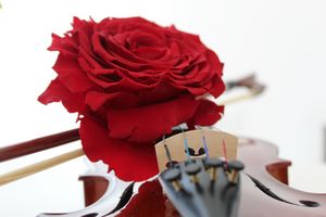 “The beauty of music.”