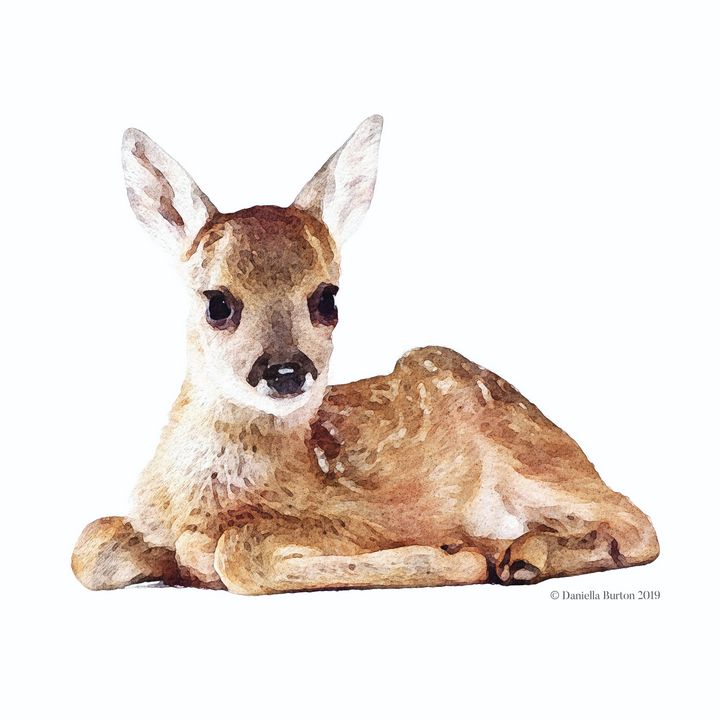 Roe Deer Fawn Watercolour - Plum & Berry Designs