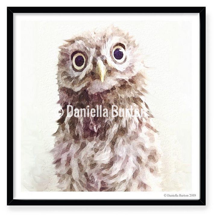 Curious Little Owl Print Unmounted - Plum & Berry Designs