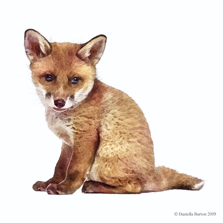 Fox Cub Watercolour - Plum & Berry Designs